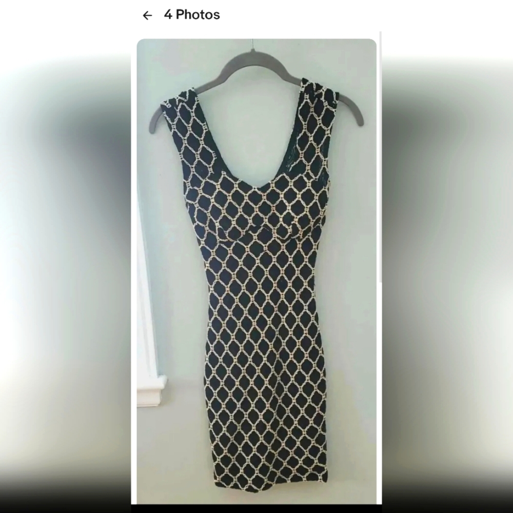 Alt B form fitted lined mesh dress